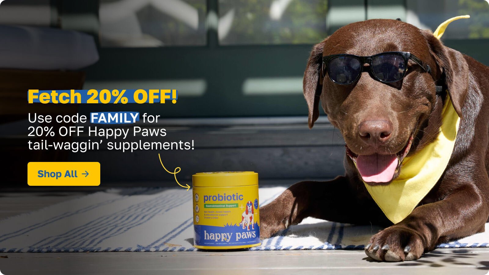 Ascend Agency HP article - Dog Supplements 3.jpg